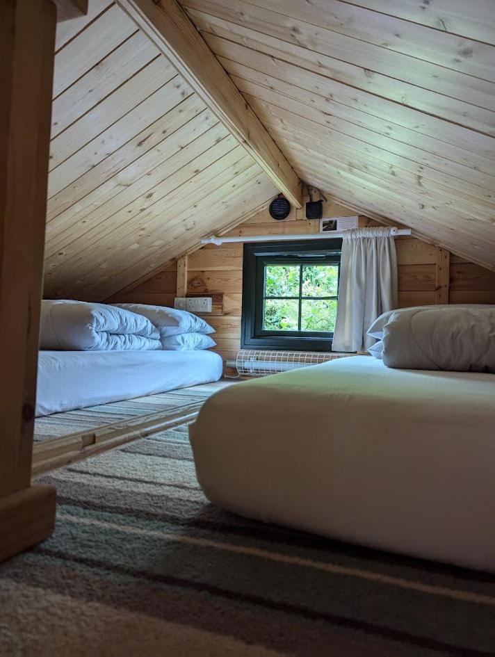 'Monktonmead Lodge' In Secluded Setting, With Private Indoor Pool. Ryde  Exterior photo